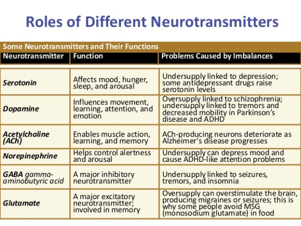 Role of neurotransmitters.jpg