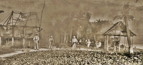 Town burned by USS Vicksburg sailors on Samar Oct 1901.jpg