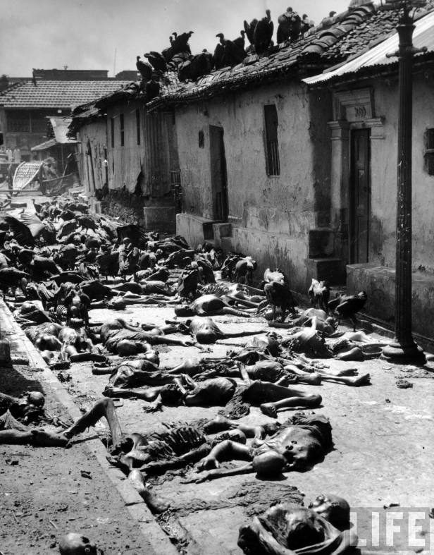 Vultures feeding on corpses lying abandoned in alleyway after bloody rioting between Hindus and Muslims Calcutta (Kolkata) 1946.jpg